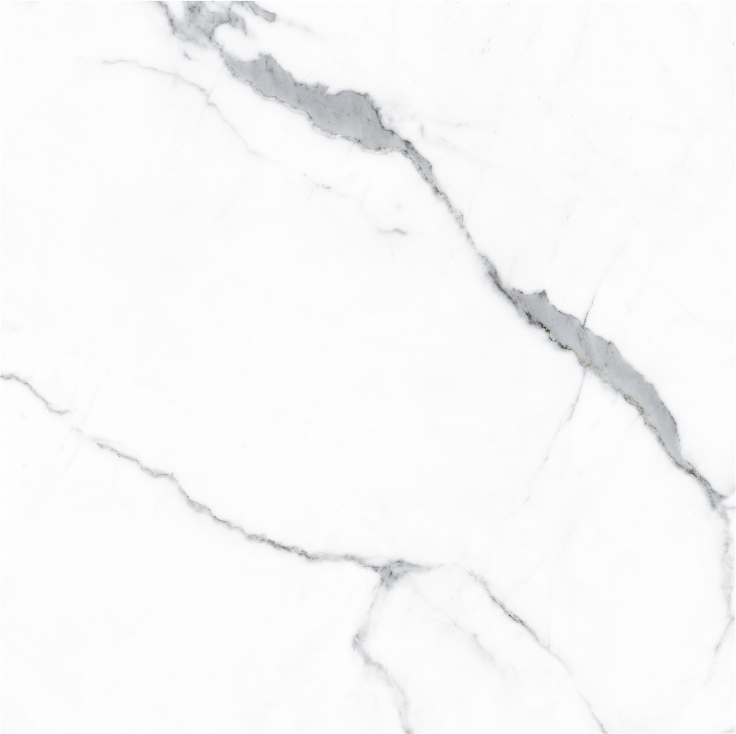 lg1116-0913