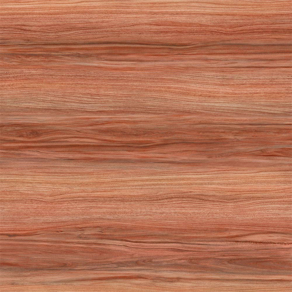 lg0216-1036